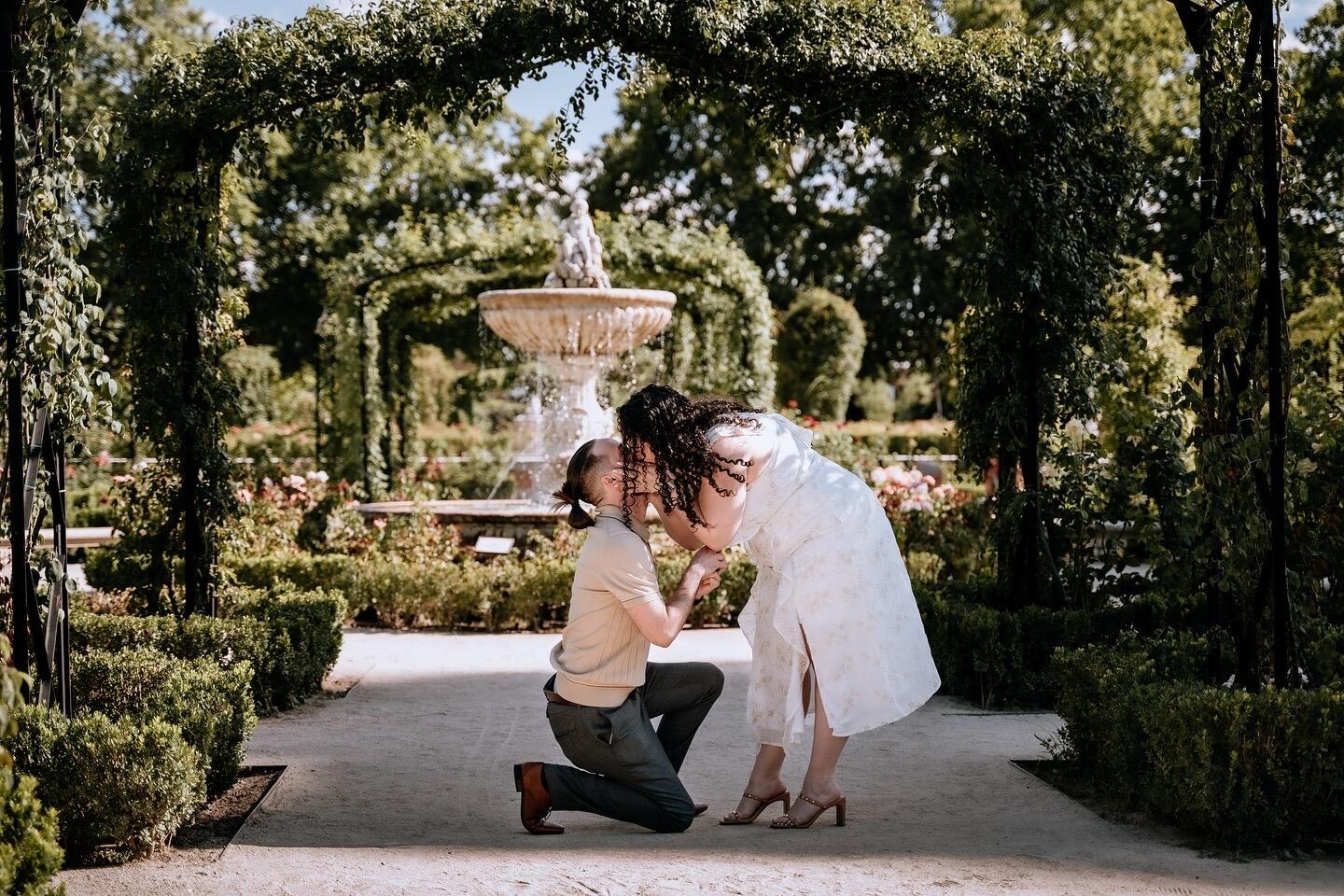 On their two-week trip to Spain, Josué proposed in La Rosaleda at El Retiro Park in Madrid. • En su viaje de dos semanas a España, Josué le propuso matrimonio a Rachel en La Rosaleda en el Parque del Retiro de Madrid.