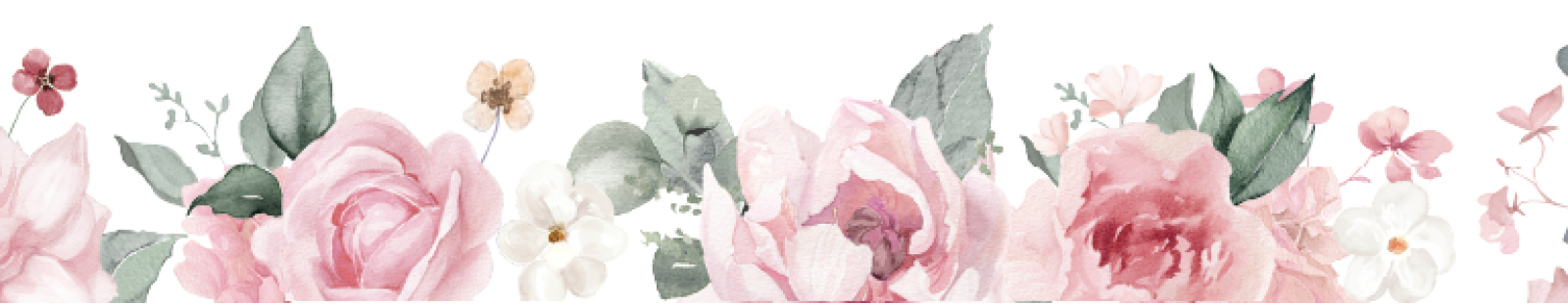 Bottom Theme Image