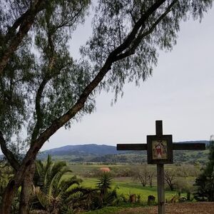 Gallery Photo 5