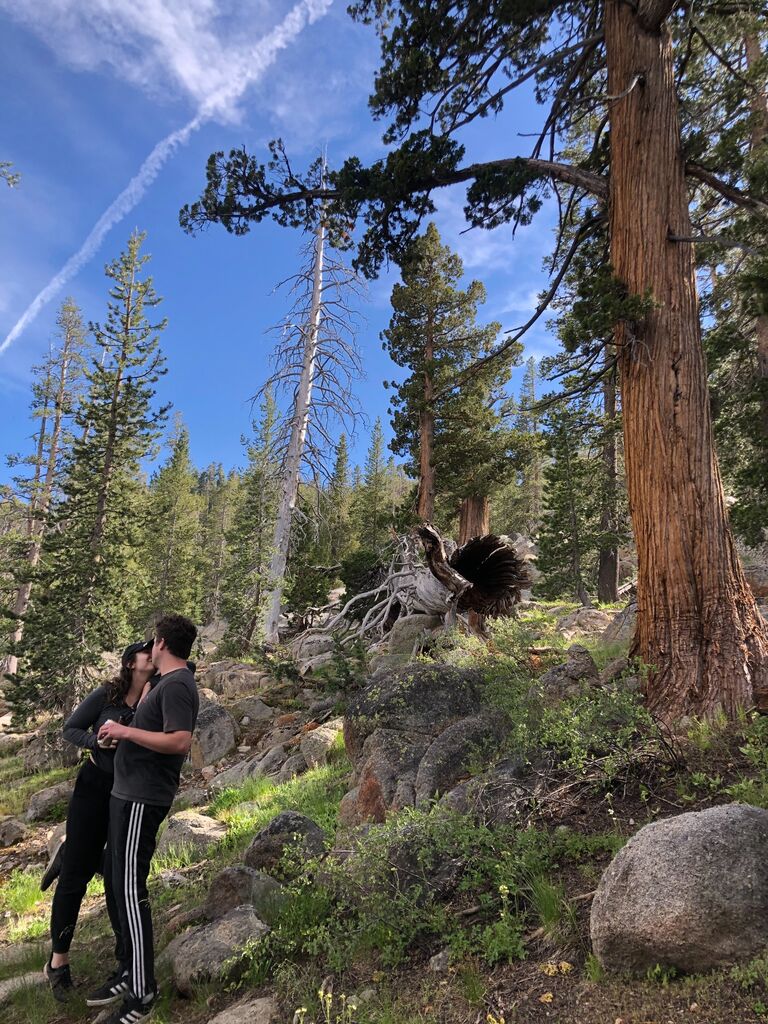 Camping in Markleeville