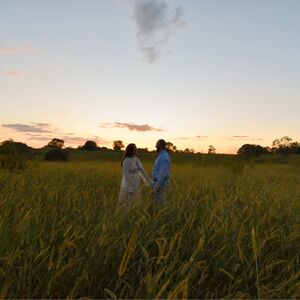 Gallery Photo 31