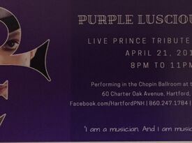 Purple Luscious Love - Funk Band - Hartford, CT - Hero Gallery 2