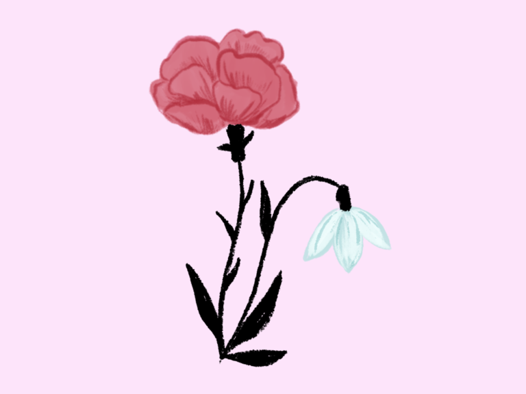 January birth flower carnation and snowdrop