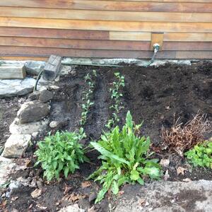 Gallery Photo 105
