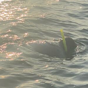 Gallery Photo 22
