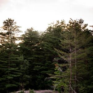 Gallery Photo 23