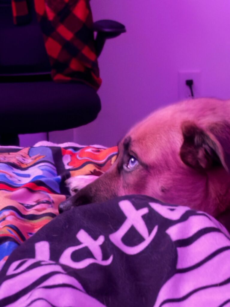 Ella watching TV
