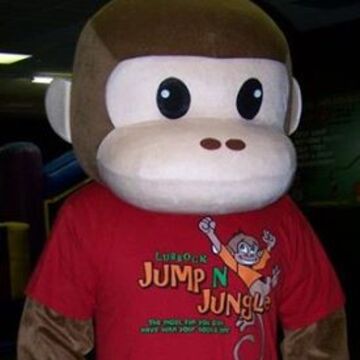 Lubbock Jump N Jungle - Party Inflatables - Lubbock, TX - Hero Main