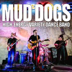 Mud Dogs Band - Minnesota's Top Rated Party Band, profile image