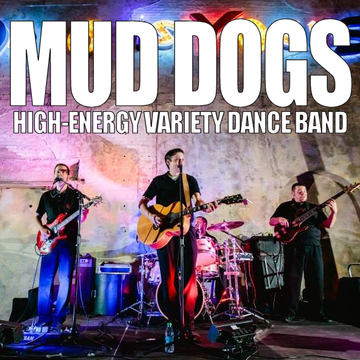 Mud Dogs Band - Minnesota's Top Rated Party Band - Cover Band - Minneapolis, MN - Hero Main