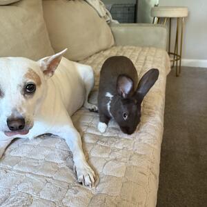 Gallery Photo 26