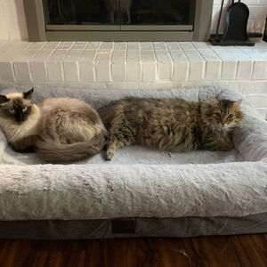 Gallery Photo 34