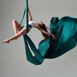 Malin Aerial Dance LLC, profile image