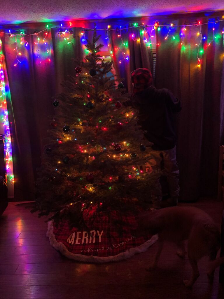 Our first Christmas together, Josh surprised me with a Christmas tree and had the house fully decorated before I got home.  He bought me a gun, so I was very happy!