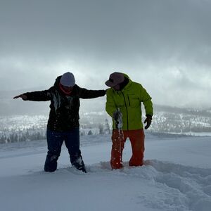Gallery Photo 14