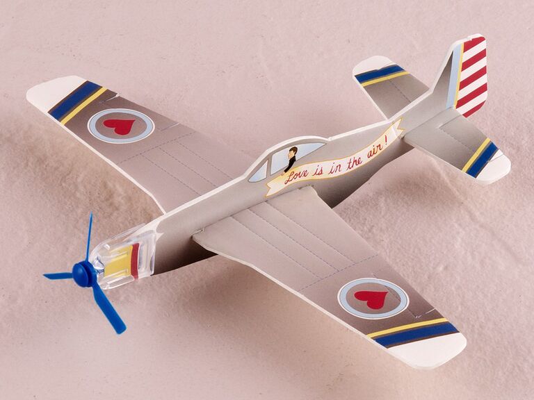 Novelty airplane wedding favor