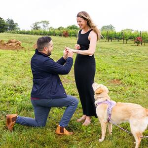 Gallery Photo 25