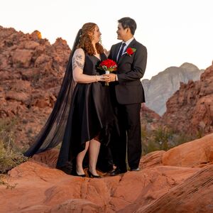 Gallery Photo 14