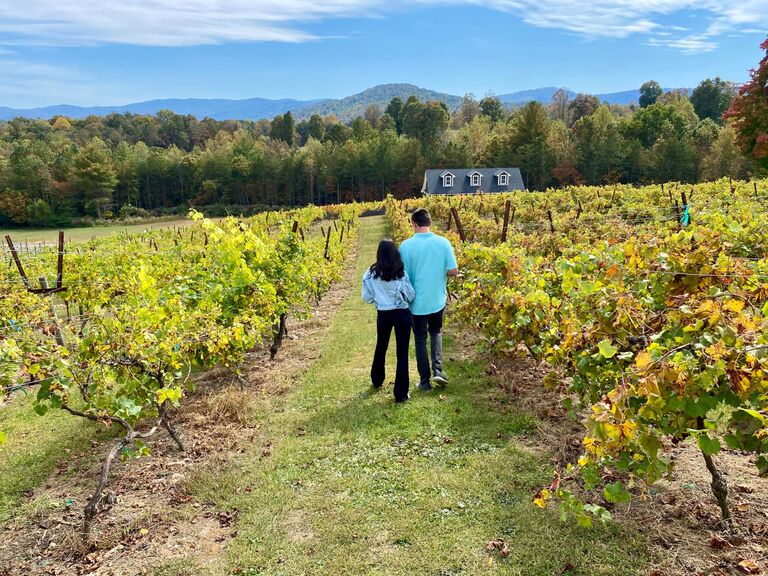 Touring some vineyards in Elijah, GA!