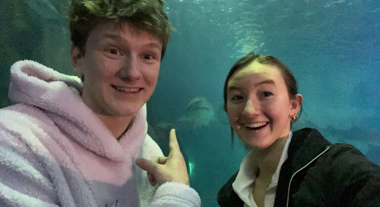 Shark bait hoo ha ha!
