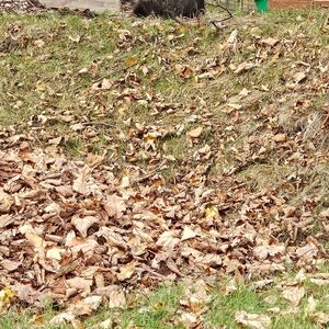 Gallery Photo 160