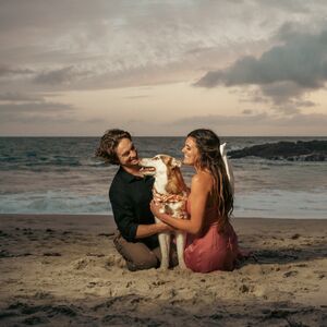 Gallery Photo 43