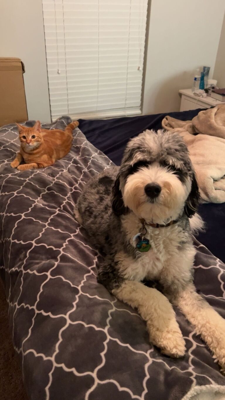 The brothers were reunited!