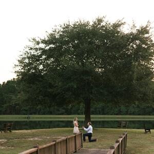 Gallery Photo 4