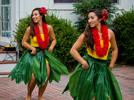 Aloha Island Revue - Hawaiian Dancer - Alexandria, VA - Hero Gallery 2