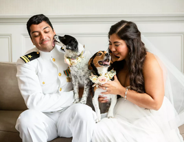 A happy married couple enjoy a snuggle moment with their two dogs.