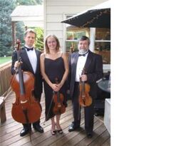 Royal Violins - String Quartet - Westwood, NJ - Hero Gallery 1
