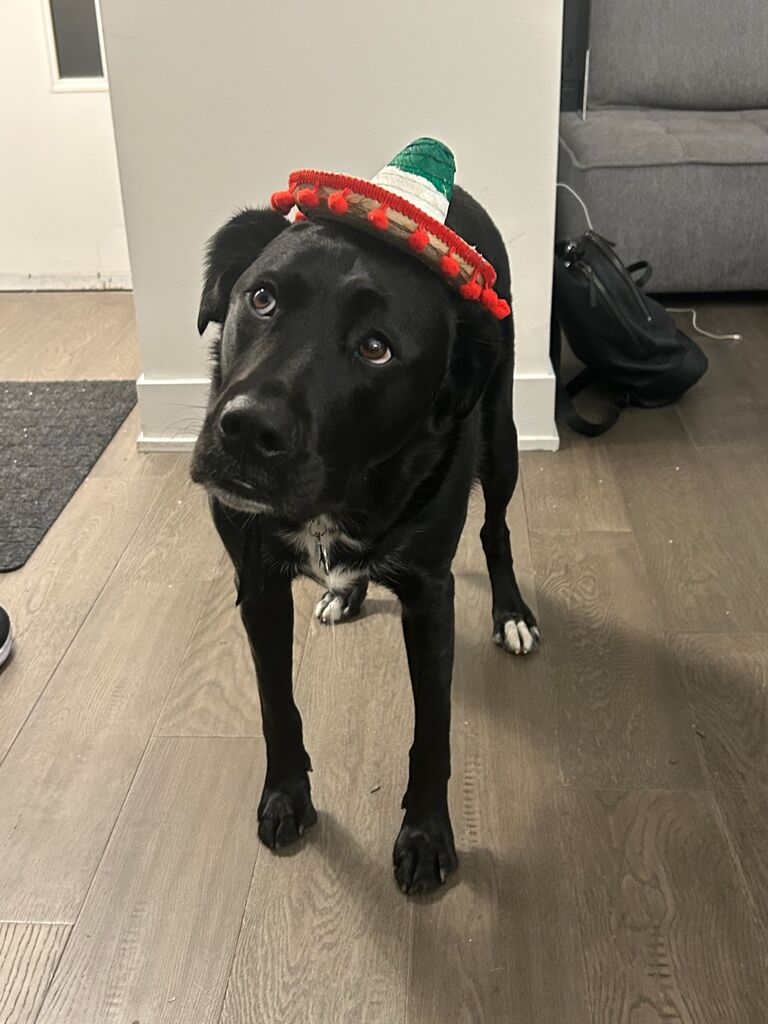 Su is ready to party - are you?