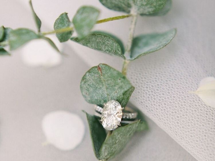 Engagement ring on eucalyptus branch