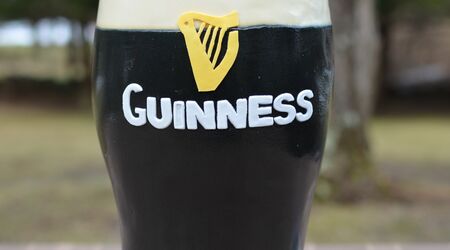 Guinness Collage Tulip Pint Glass, 1 - Baker's