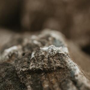 Gallery Photo 35