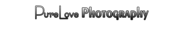 PureLove Photography - Photographer - Pittsburgh, PA - Hero Main