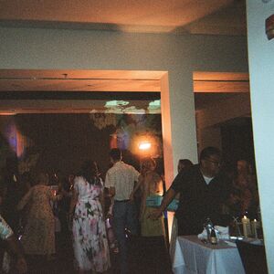 Gallery Photo 83