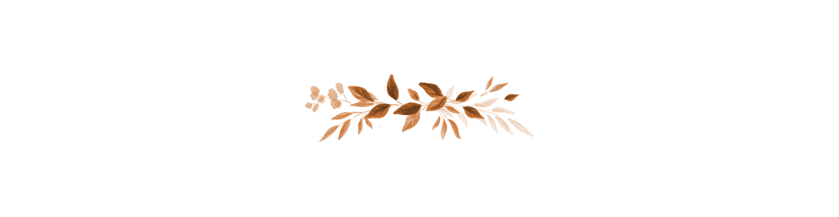 Top Theme Image