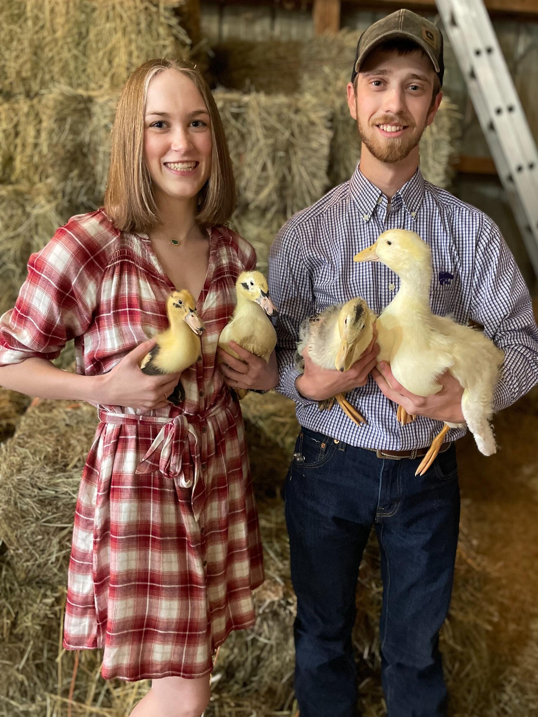 Easter Ducks