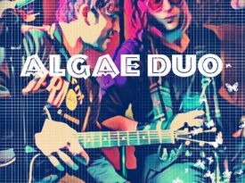 Eric Algae Duo - Acoustic Guitarist - Kenosha, WI - Hero Gallery 1