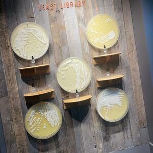Gallery Photo 22