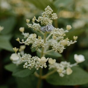 Gallery Photo 16