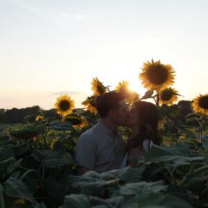 Gallery Photo 9