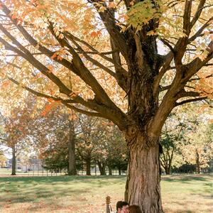 Gallery Photo 28