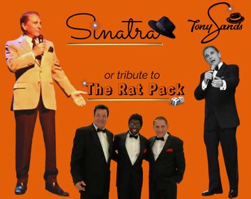 Tony Sands - Frank Sinatra Tribute Act - Washington, DC - Hero Main