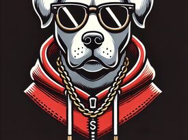 Los Perros del Perreo - Latin Band - Chino Hills, CA - Hero Gallery 2