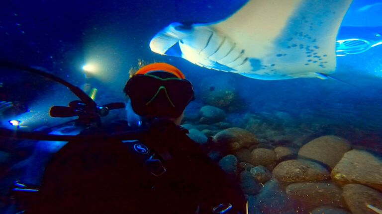 Diving with the Manta Rays