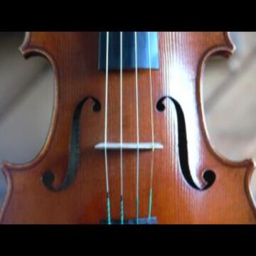 PERFECT HARMONY STRINGS BOSTON - String Quartet - Boston, MA - Hero Main