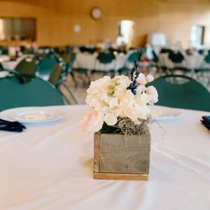 Gallery Photo 11