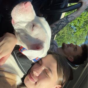 Gallery Photo 22
